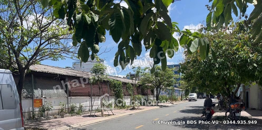 Bán nhà mặt tiền An Tôn, P.6, Tân Bình – 4x25m, 101,6m², đường 13m, cách chợ Tân Bình 400m – ảnh 2